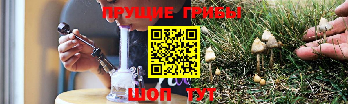 Галлюциногенные грибы мухоморы  Вход с VPN  Чистополь 