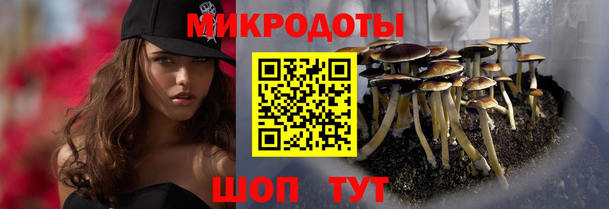 Галлюциногенные грибы GOLDEN TEACHER Чистополь